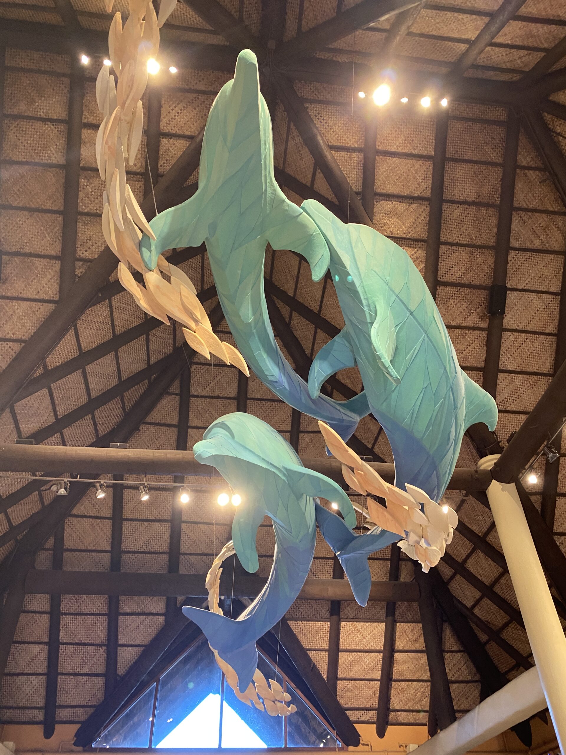 discovery cove review